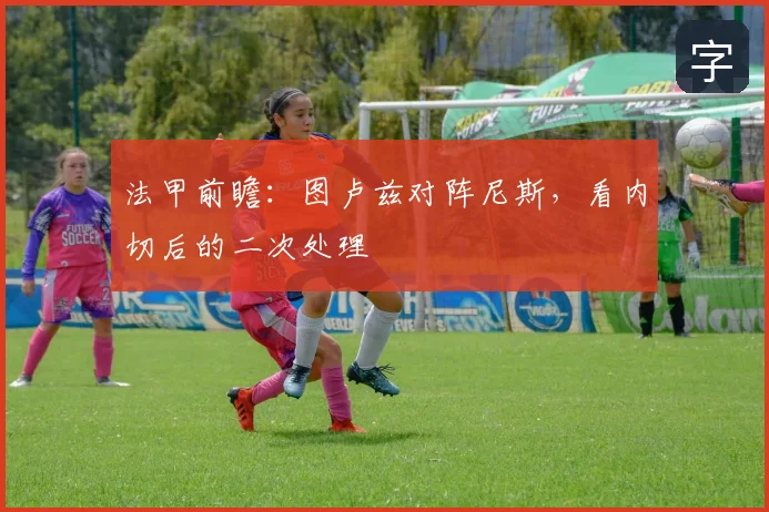 法甲前瞻:图卢兹对阵尼斯,看内切后的二次处理
