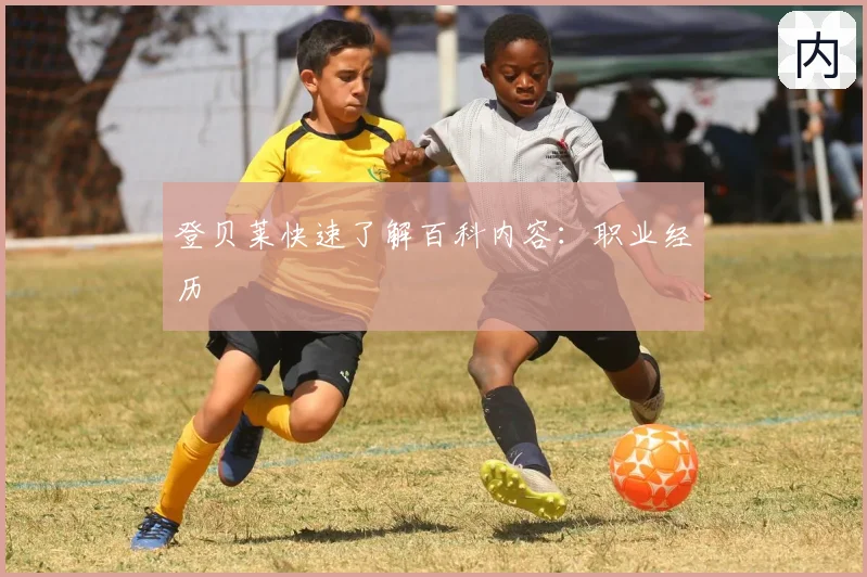 登贝莱快速了解百科内容:职业经历